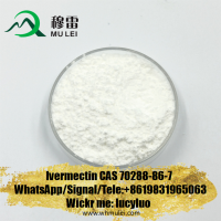 Hot Selling Raw Material Powder Ivermectin CAS 70288-86-7 Ivermectin Powder