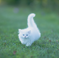 ghjdghj dfgjdfg dfjdhfj yjteykljkl jklyuitu