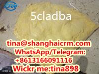 Top quality 5cladba with high purity and lowest price