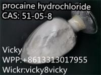 Procaine hydrochloride	 51-05-8	white powder