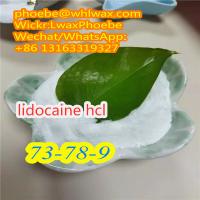 Factory Selling Lidocaine HCl Powder/Lidocaine Hydrochloride/Lidocaine Base for Pain Relief CAS 73-78-9