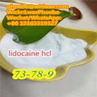 Factory Supply Lidocaine Hydrochloride Powder Stock 99% 73-78-9 Lidocaine HCl 