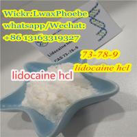Samples Lidocaine Hydrochloride Procaine Tetracaine Benzocaine CAS 73-78-9/137-58-6/59-46-1/51-05-8/136-47-0/94-09-7/553-63-9/94-15-5/94-24-6 Chemicals