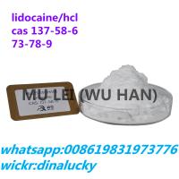wholesale 99% purity raw lidocaine hcl powder supplier cas73-78-9 local anesthetic 