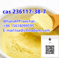 CAS 236117-38-7	2-iodo-1-p-tolylpropan-1-one 