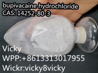 bupivacaine hydrochloride	14252-80-3	white powder