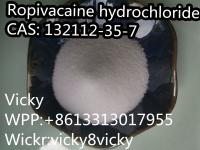 Ropivacaine hydrochloride	132112-35-7	white powder