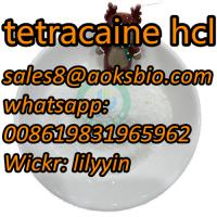 UK Netherland USA Canada 136-47-0 tetracaine hcl 94-09-7,137-58-6,59-46-1
