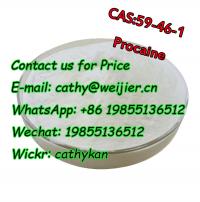 Procaine Powder CAS 59-46-1 China Supplier Sell