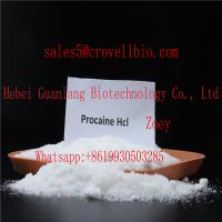  Safe delivery  Procaine base/Procaine hcl Factory supply low price zoey@crovellbio.com