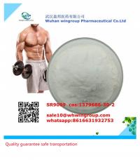 factory supplies sarms powder SR9009  cas:1379686-30-2
