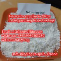 Tetracaine CAS 136-47-0 supplier in China ? mia@crovellbio.com  whatsapp +86 19930503252 ?
