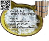 Factory directly supply CAS 136-47-0 Tetracaine hydrochloride  +86 19930501651