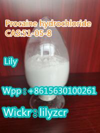 procaine hydrochloride   CAS: 51-05-8   Whatsapp:+8615630100261  Wickr:lilyzcr