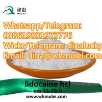 Pure Chemical CAS No. 73-78-9 Lidocaine Hcl Safety Delivery