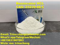 99% Purity Benzocaine hydrochloride powder Benzocaine hcl crystal from China supplier 100% pass UK/CA custom 