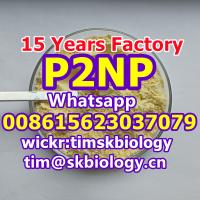 The biggest China factory----P2NP CAS 705-60-2