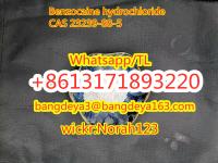 sell high quality Benzocaine hydrochloride CAS 23239-88-5