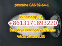 sell high quality  procaine CAS 59-64-1
