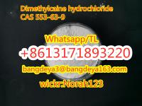 sell high quality Dimethylcaine hydrochloride CAS 553-63-9