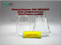 Tetrahydro Pyrrole CAS 123-75-1 Pyrrolidine with High Purity China Supplier 