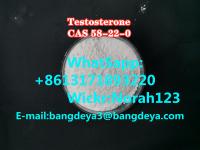  sell high quality Testosterone CAS 58-22-0