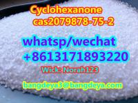 sell high quality Cyclohexanone cas 2079878-75-2