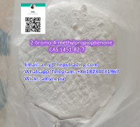 CAS 1451-82-7 2-bromo-4-methylpropiophenone safety to Russia
