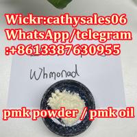 new pmk,new bmk glycidate 13605 pmk oil,new p,pmk glycidate
