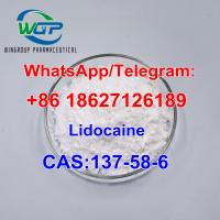  Lidocaine CAS 137-58-6 +8618627126189