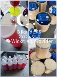 New Bmk Glycidate Powder, Bmk Oil Cas No 20320-59-6 99.9% Liquid 