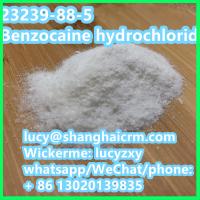 99% purity Benzocaine hydrochloride from China supplier MULEI CAS: 23239-88-5