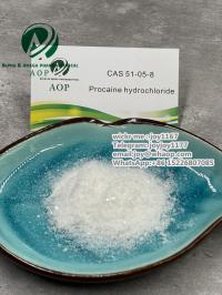 99% Purity with Safest Delivery CAS 51-05-8 also Supply 137-58-6/5086-74-8/16595-80-5/136-47-0/94-24-6/11113-50-1