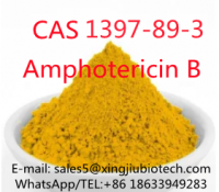 99% High Purity Amphotericin B Powder CAS1397-89-3 with Best Price