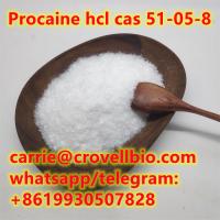 Sell well Procaine hcl cas 51-05-8 with 99% purity