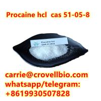 Hot Product Procaine hcl Procaine hydrochloride cas 51-05-8 carrie@crovellbio.com