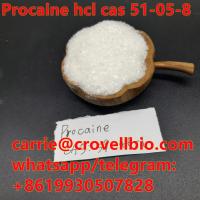 Procaine hcl Procaine hydrochloride cas 51-05-8 +8619930507828
