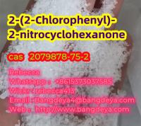 2-(2-Chlorophenyl)-2-nitrocyclohexanone cas 2079878-75-2