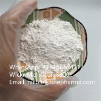 Methylamine hydrochlorideX White powder CAS 593-51-1 99% in stock