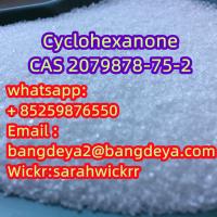 2079878-75-2 (2-Chlorophenyl)thiourea Chinese manufacturers