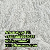 BMK Glycidic Acid (sodium salt) 99.9% Powder C10H9NaO3 