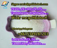methenolone enanthate primobolan 100 200mg buy Metenolone enanthate primo injection tablets for sale China suppliers WAPP:+8615389281203