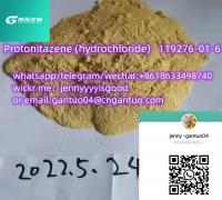 Protonitazene (hydrochloride) 119276-01-6 