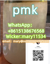 Pmk Ethyl Glycidate Supplier CAS 28578-16-7 PMK Oil in stock WhatsApp?+8615138676568