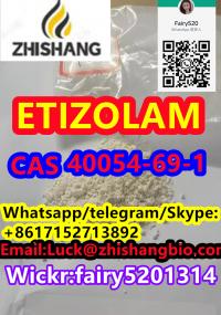 ETIZOLAM 40054-69-1
