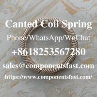 Canted Coil Spring