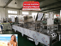 Ice cup filling packing machine