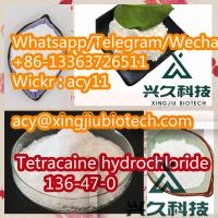 Factory Supply Tetracaine hydrochloride CAS 136-47-0