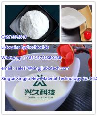 High Purity Chemical Product Lidocaine Hydrochlorid/Lidocaine HCl Powder CAS 73-78-9