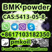 CAS 5413-05-8 BMK oil/powder 5449-12-7 CAS 20320-59-6 Bmk Oil